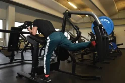 Gluteus Machine Toorx FWX 4600