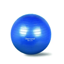 Gym Ball Diamond varie misure