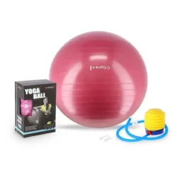 GymBall HMS 65cm Colore Rosa