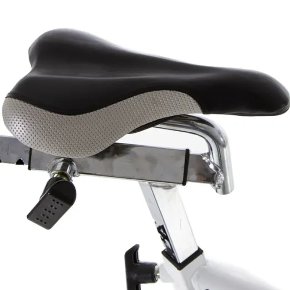 Indoor Bike SB2.2 BH Fitness