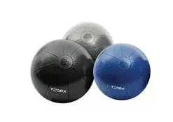 Palla Ginnastica Toorx Pro