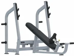 Panca Inclinata Olympic Toorx Professionale WBX-3800 Silver