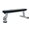 Panca Piana Toorx Professional WBX 2000