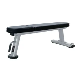 Panca Piana Toorx Professional WBX 2000