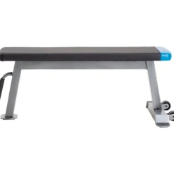 ProForm Carbon Strength Panca Piana
