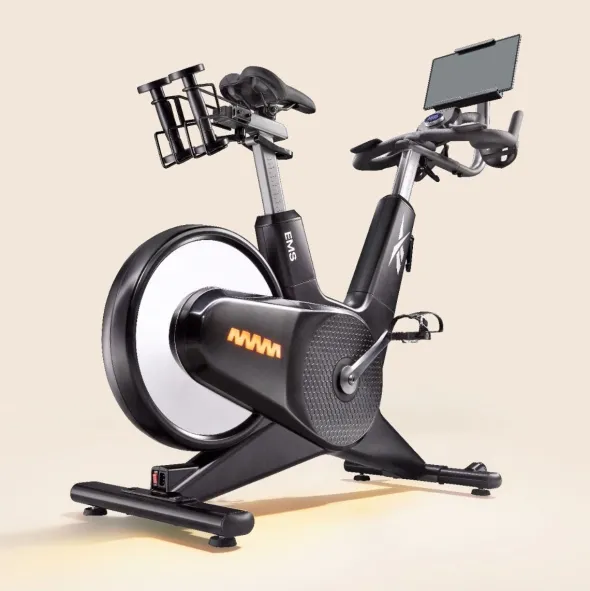 Reebok Z-Tech Indoor Bike