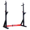 Squat Rack Dip Stand Titanium Strength 270RS