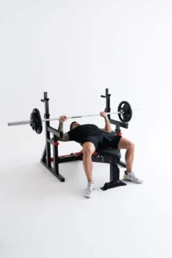 Squat Rack Dip Stand Titanium Strength 280RS