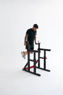 Squat Rack Dip Stand Titanium Strength 280RS
