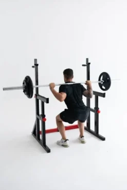 Squat Rack Dip Stand Titanium Strength 280RS