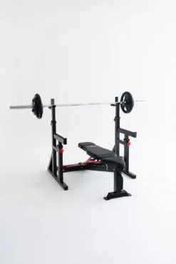 Squat Rack Dip Stand Titanium Strength 280RS