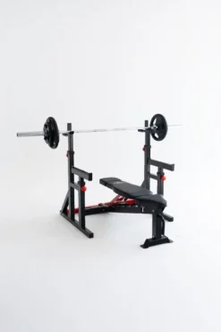 Squat Rack Dip Stand Titanium Strength 280RS