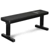 Titanium Strength Panca Piana 272BP