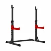 Titanium Strength Squat Stand RS20