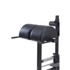 Toorx Panca GHD Professional WBX-300