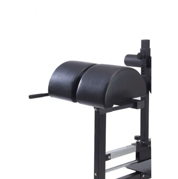 Toorx Panca GHD Professional WBX-300