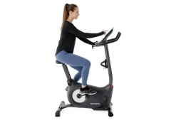 Upright Bike Schwinn 510
